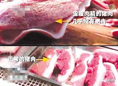 携手共进，共享未来！卓鸣“领康云”庆祝合肥宽虹餐饮首批入驻