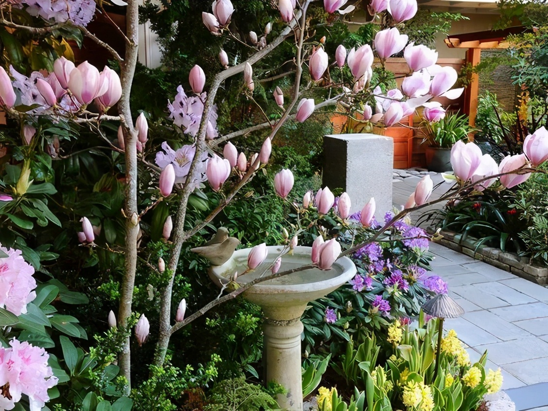 布查德花园的秋冬季,全球最美花园布查特花园