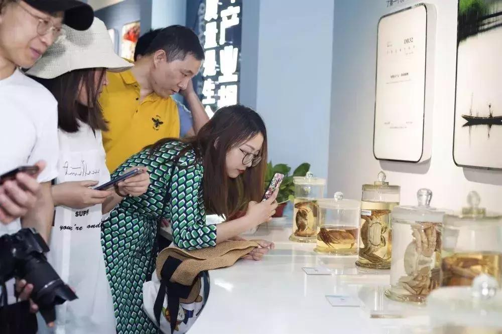 来，跟着“新高淳人”看高淳～