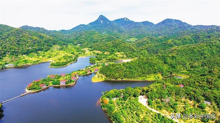 海南天然氧吧舒适景点,海南岛热带天然森林