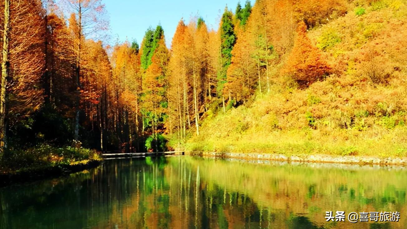 重庆南川区旅游攻略,重庆市南川区旅游攻略