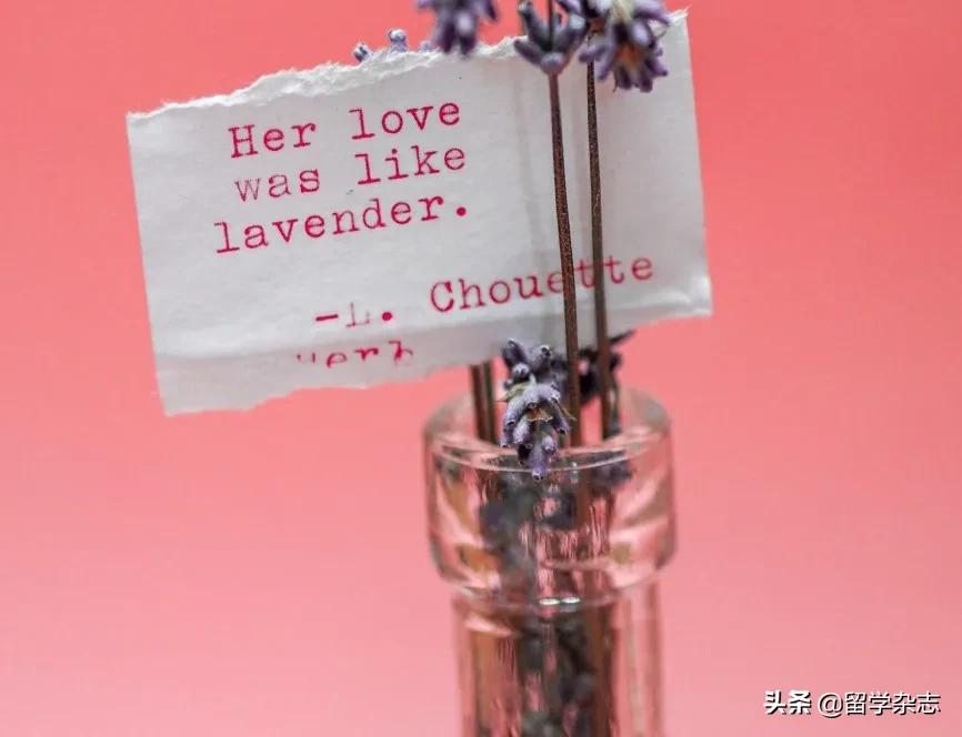 跨境电商高价值单品,跨境电商回报率高的产品