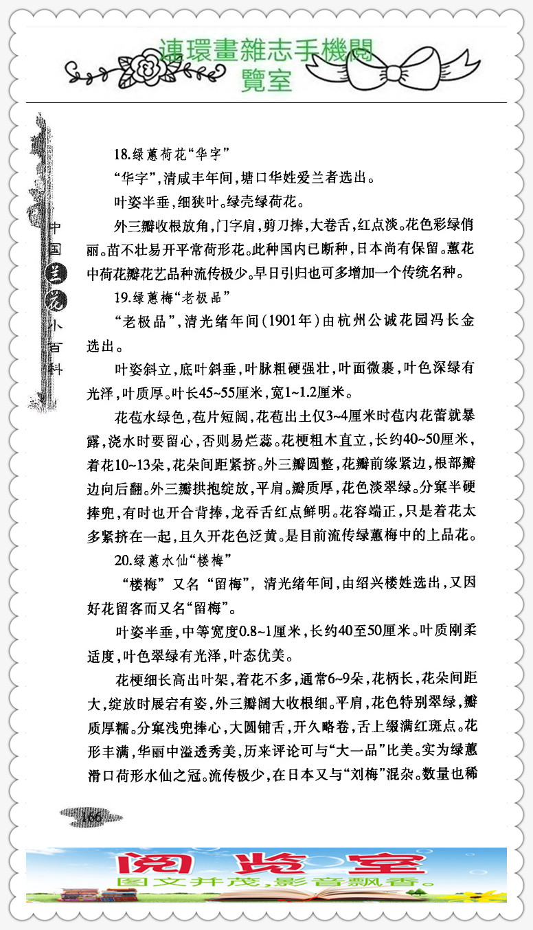 中国兰花的品种图片,中国兰花小百科书籍有哪些
