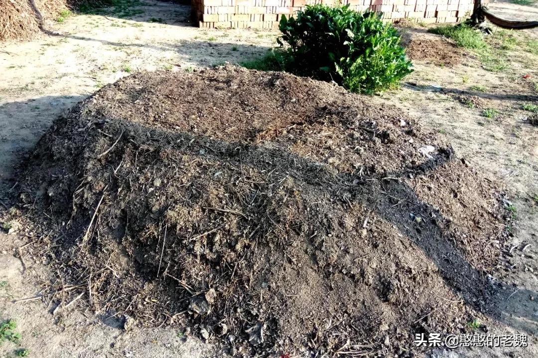 羊粪牛粪鸡粪有机肥有什么区别,鸡粪牛粪猪粪羊粪哪个更好呢