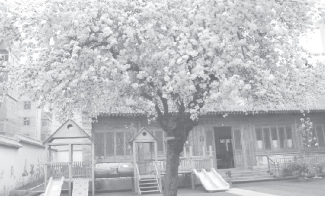 漫谈古陶瓷鉴赏与识别,文化历史漫谈