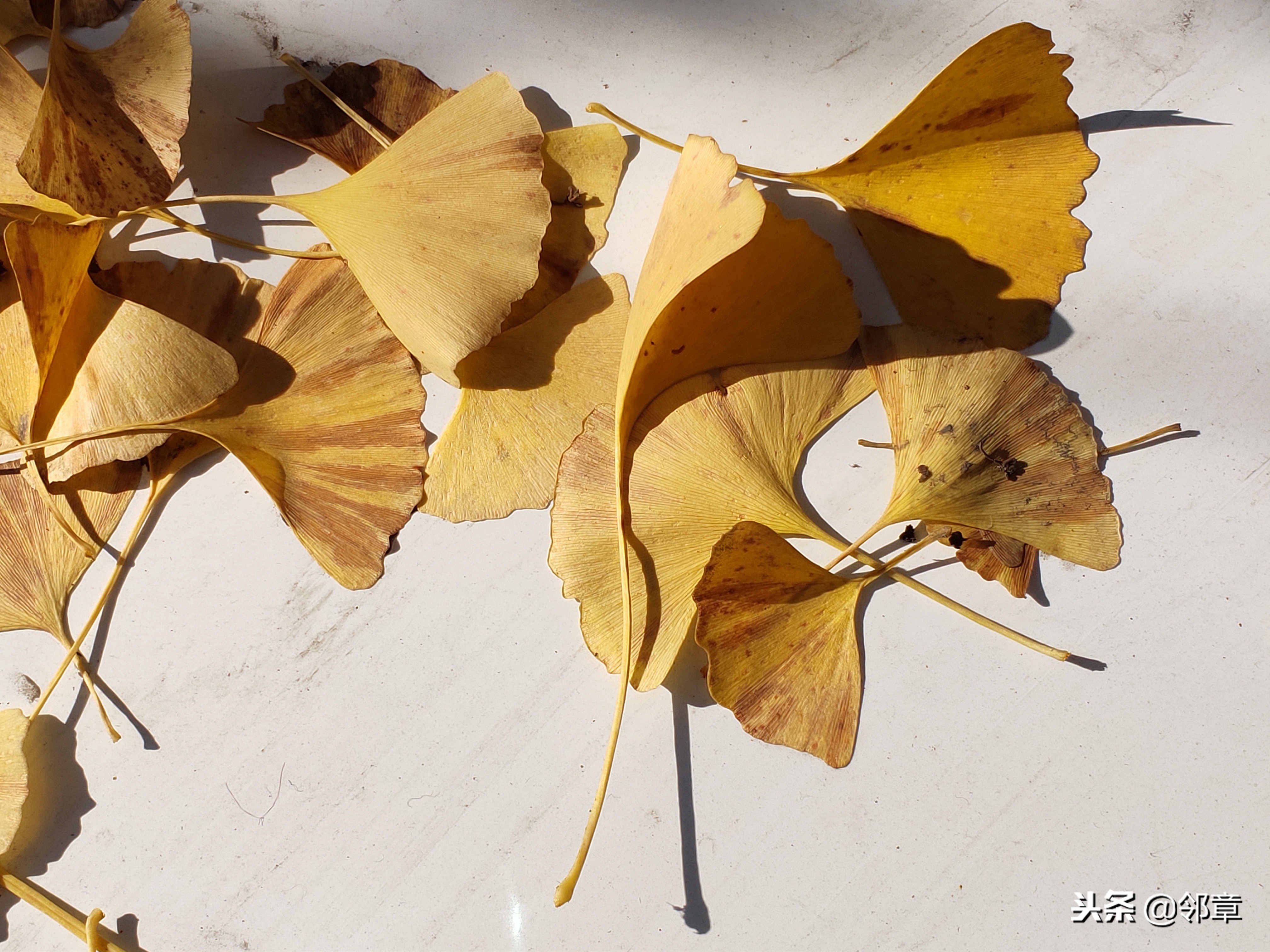 oppor17到底值不值得入手,oppor17还值得购买吗2019