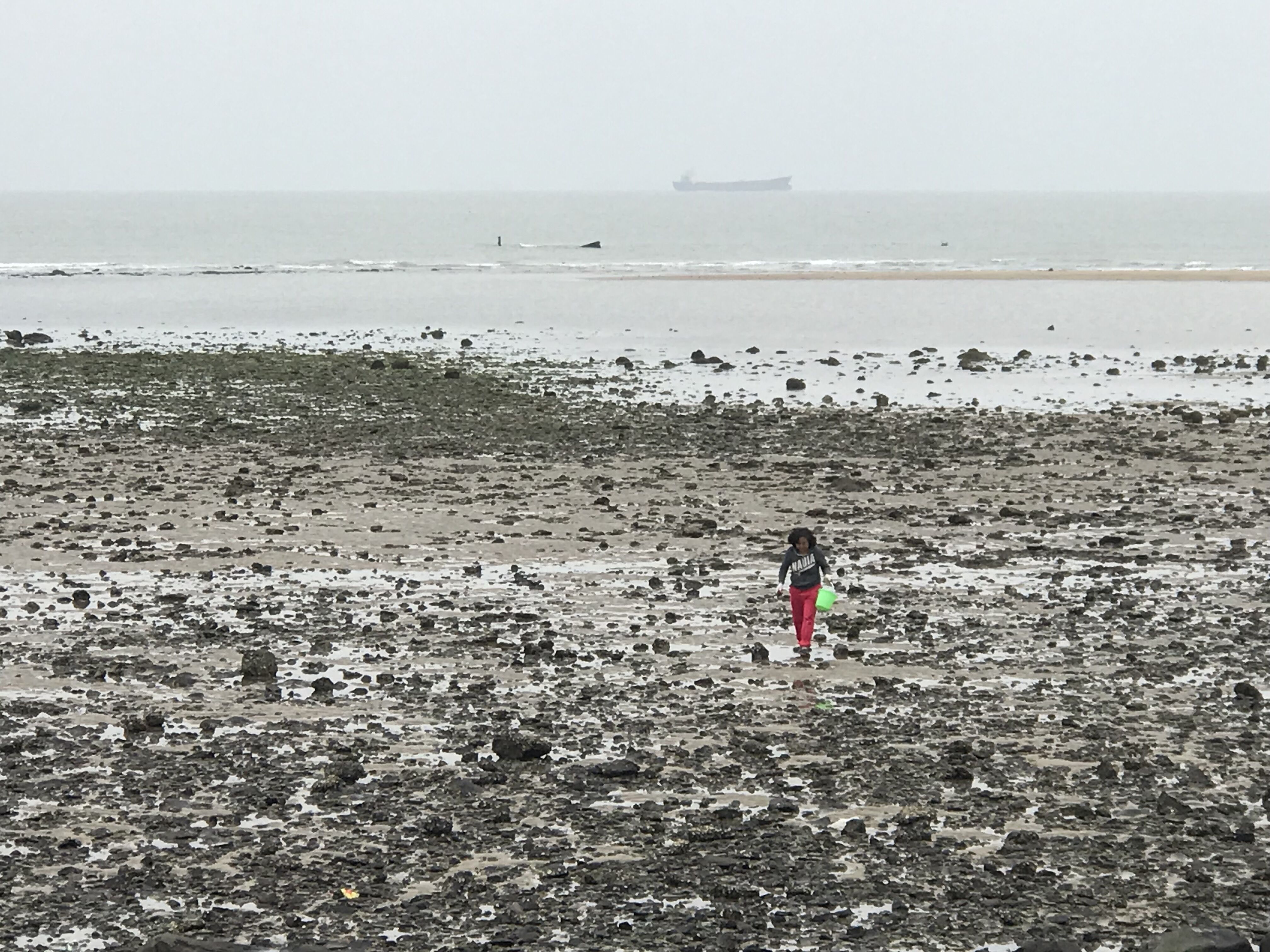 再说房车人是咋算账的；1212房车旅行车的事很担心；赶海