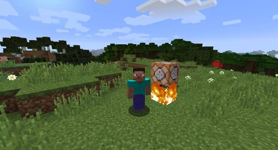 我的世界各种食物的效果,我的世界给村民们可以吃什么东西