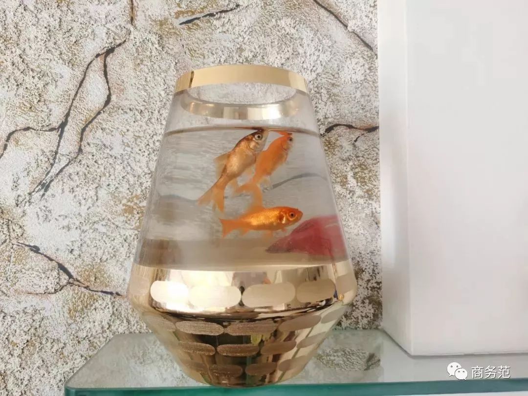 宅在家里继续分享好物,在家上班必备30件好物