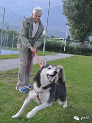 「天了噜」海外的电商卖家都这么戏精的么
