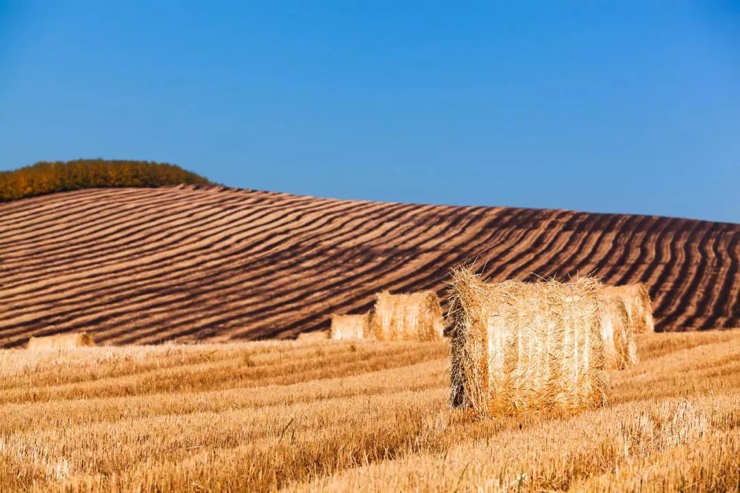 最美边境公路自驾游攻略,国内最美沿海公路自驾游