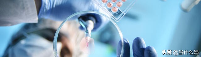 有机致臻有机奶粉怎么样,国产奶粉真的那么好吗