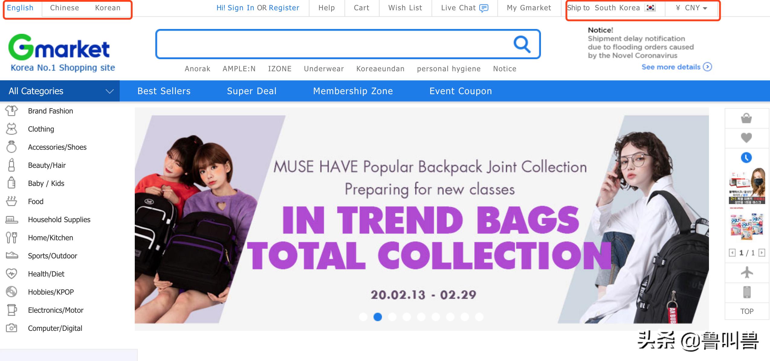 境外口罩购买,口罩可否直接通过海外网站买