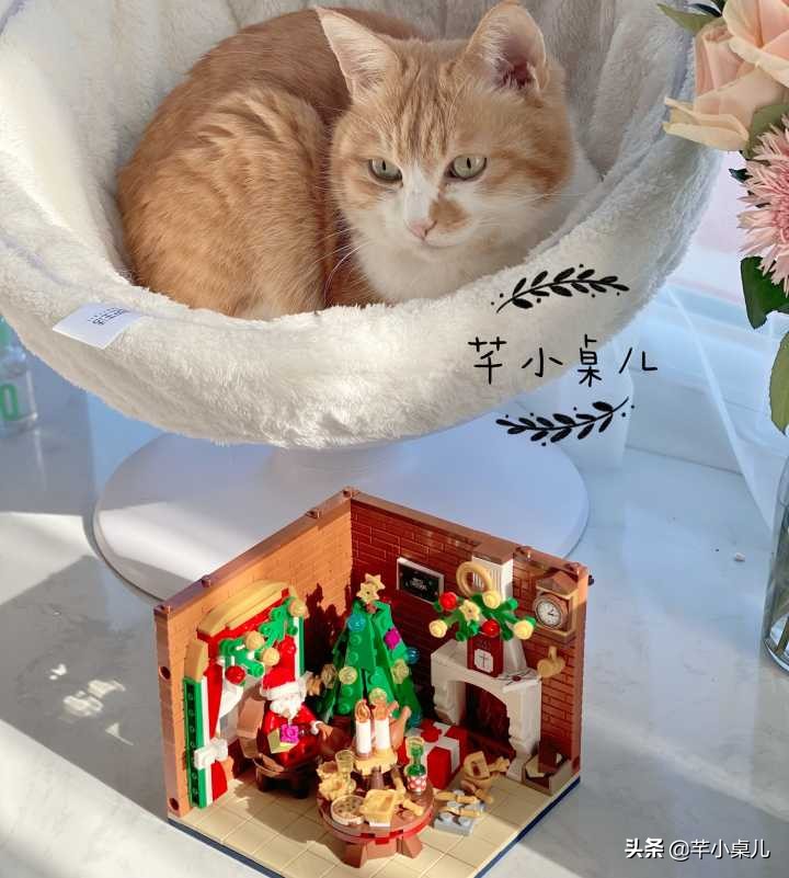 高颜值实用圣诞礼物推荐,圣诞礼物送女生高级感小众价格