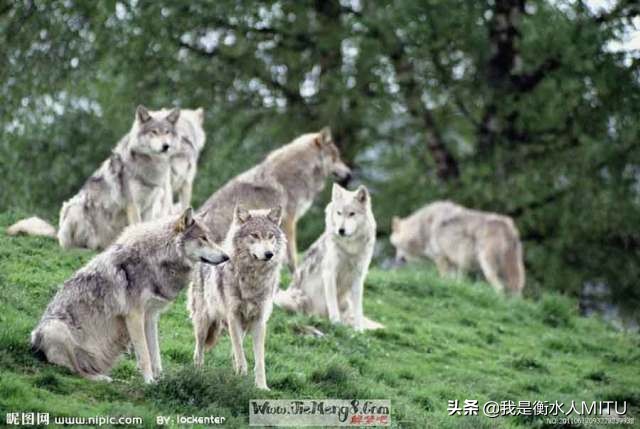 为什么干弱电工资这么低,现在的弱电好干吗