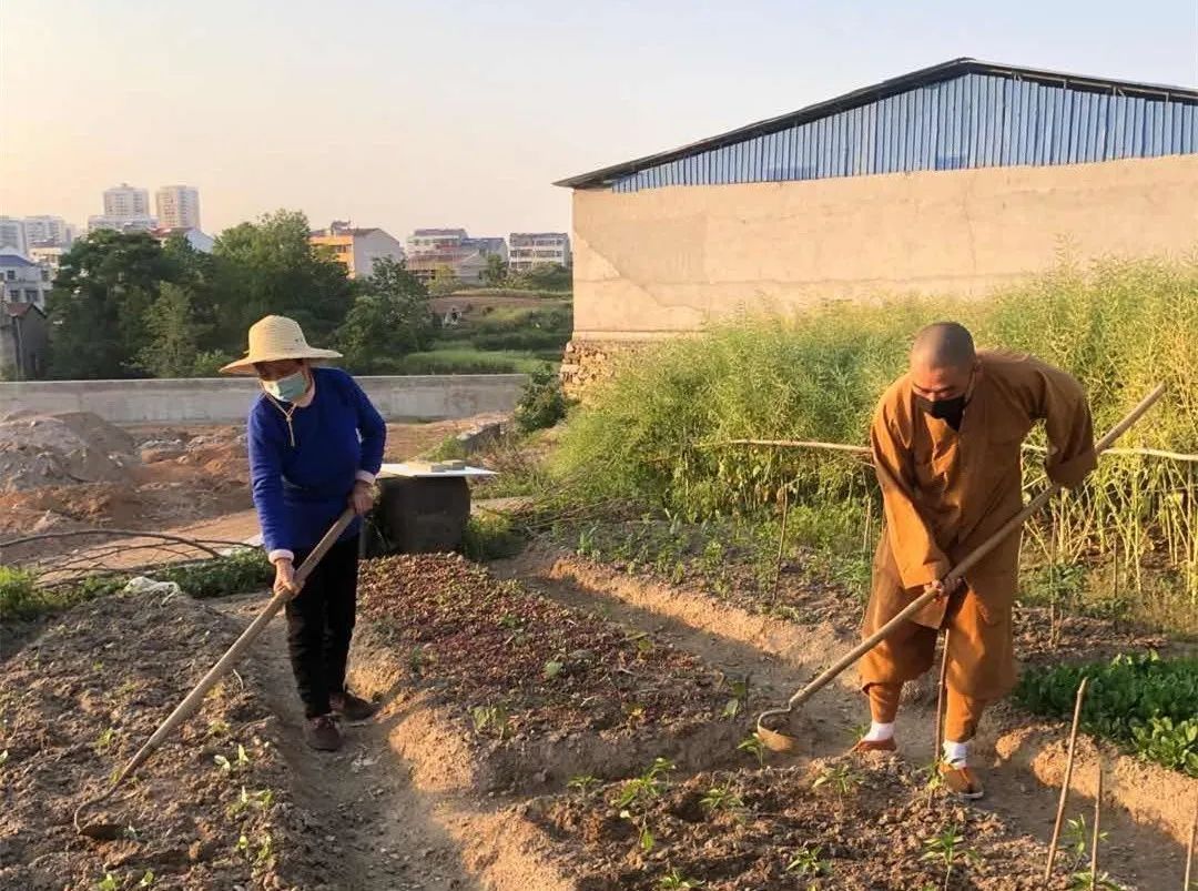 抢抓农时开展农业生产,农民纷纷抢抓春耕生产有利时机