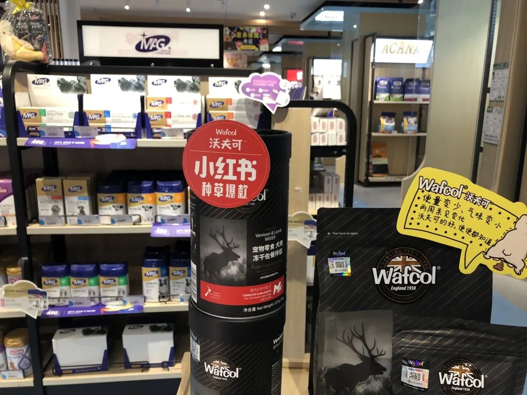 欢迎同行入内，这是一家为宠物店而开的宠物