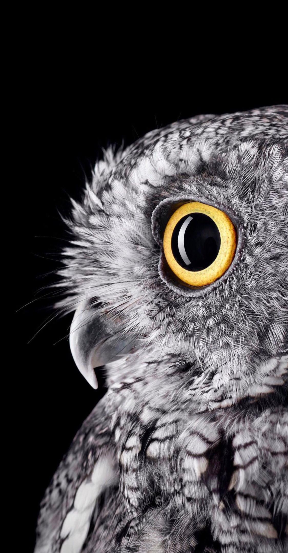 经典黑白系列手机壁纸！非常适合做手机壁纸！感觉收藏一下吧！