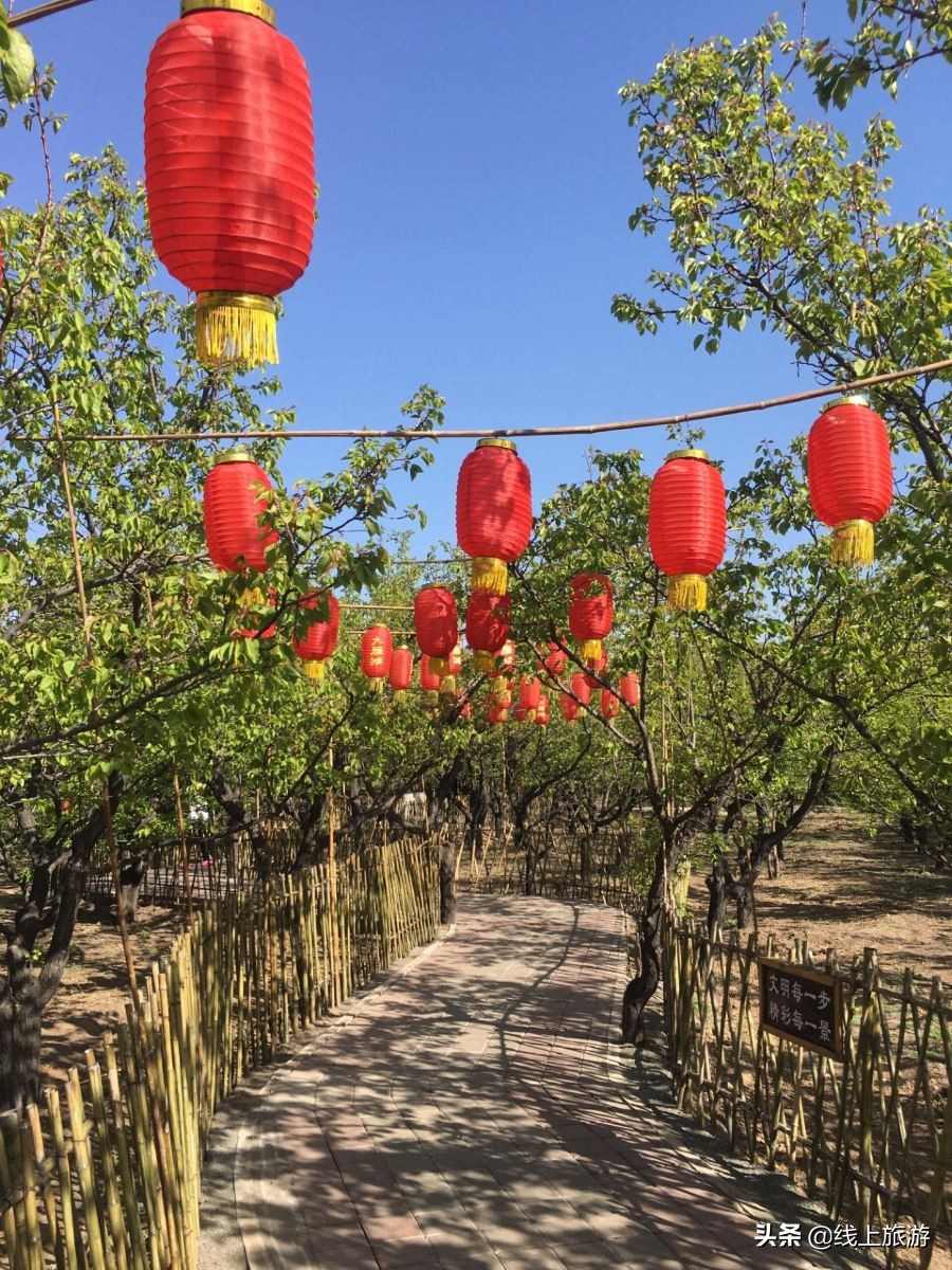 内蒙呼和浩特市内游,五一内蒙古呼和浩特及周边游