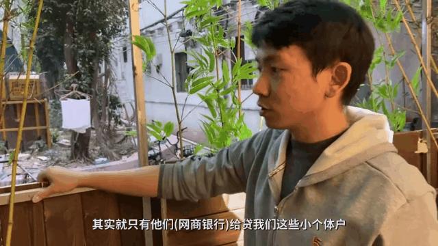 懒人养的猫很粘人吗,猫养得越久越粘人