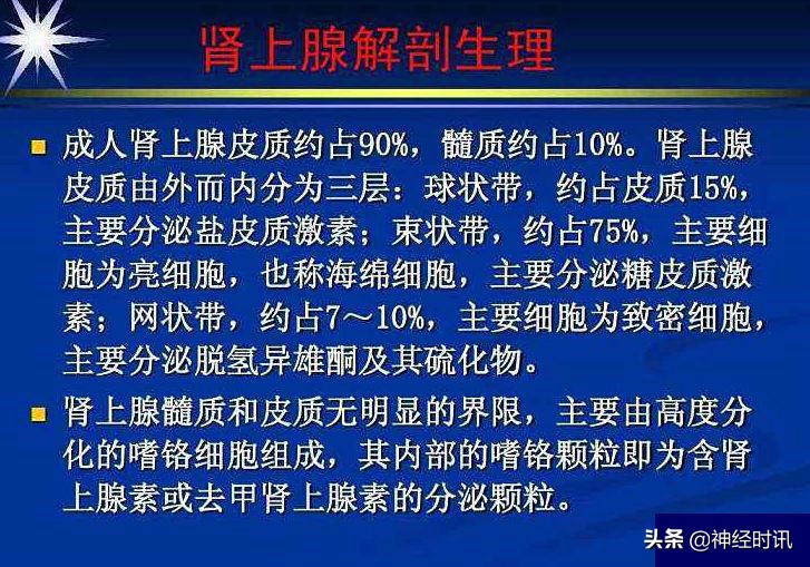 肾脏输尿管膀胱前列腺结构,肾输尿管膀胱解剖示意图
