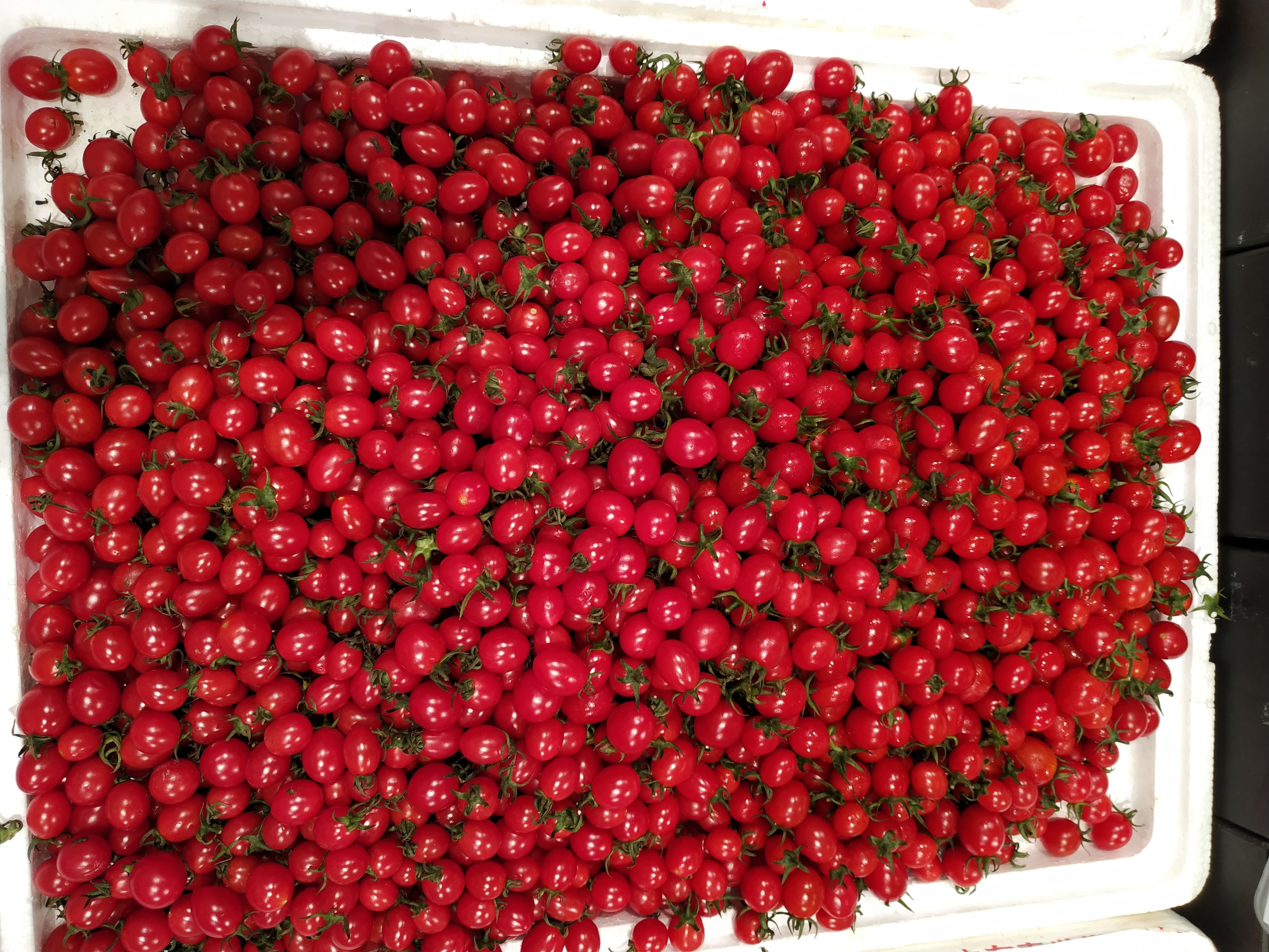 吃水果减肥怎样吃三餐,吃水果减肥的正确姿势