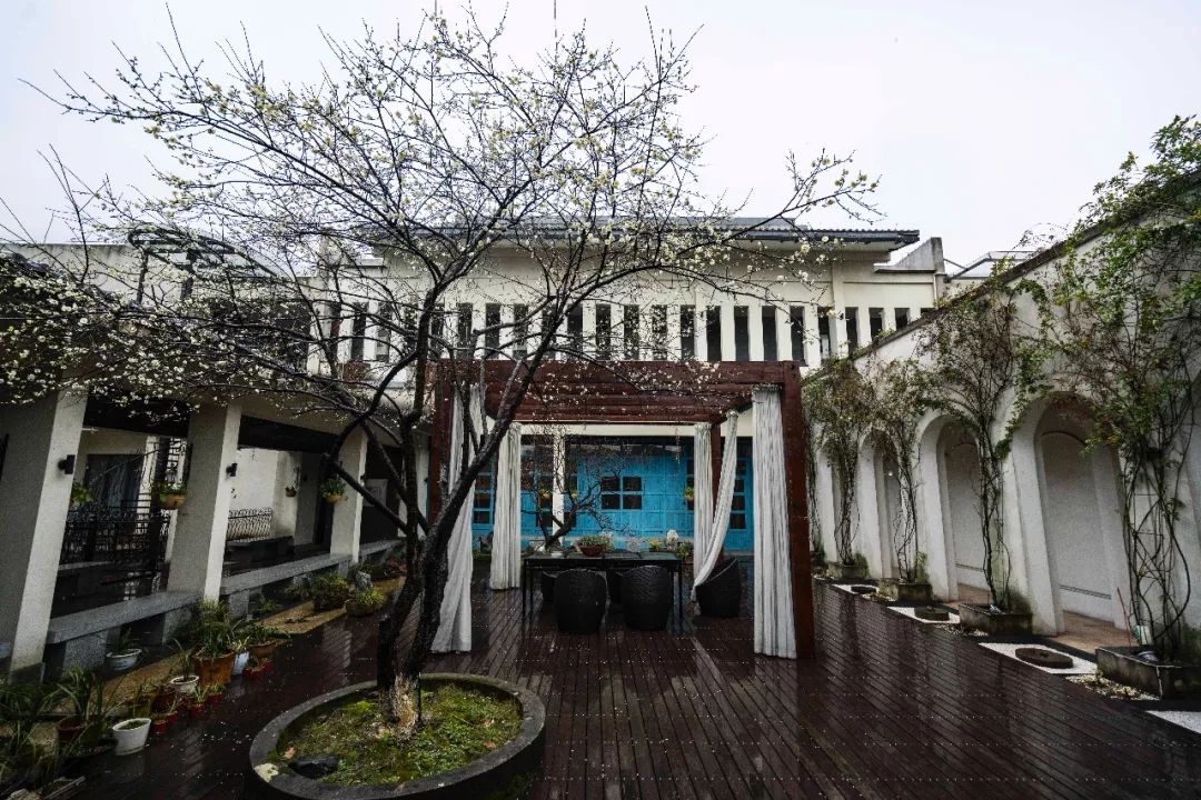 杭州孤山梅园图片,杭州赏梅园