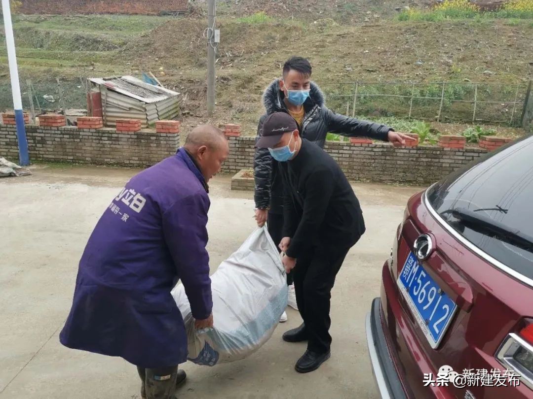 一手抓防疫一手抓办案,一手抓防疫一手抓发展