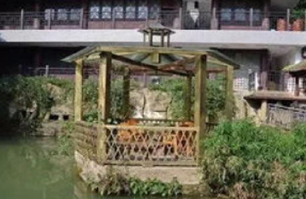 重庆主城好玩的农家乐,这才是重庆最好的农家乐