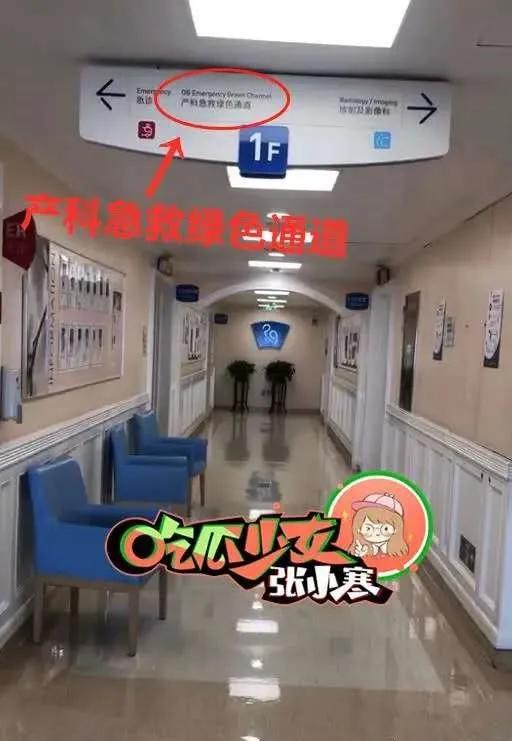 郑恺冯女郎最新消息,郑恺冯女郎现状