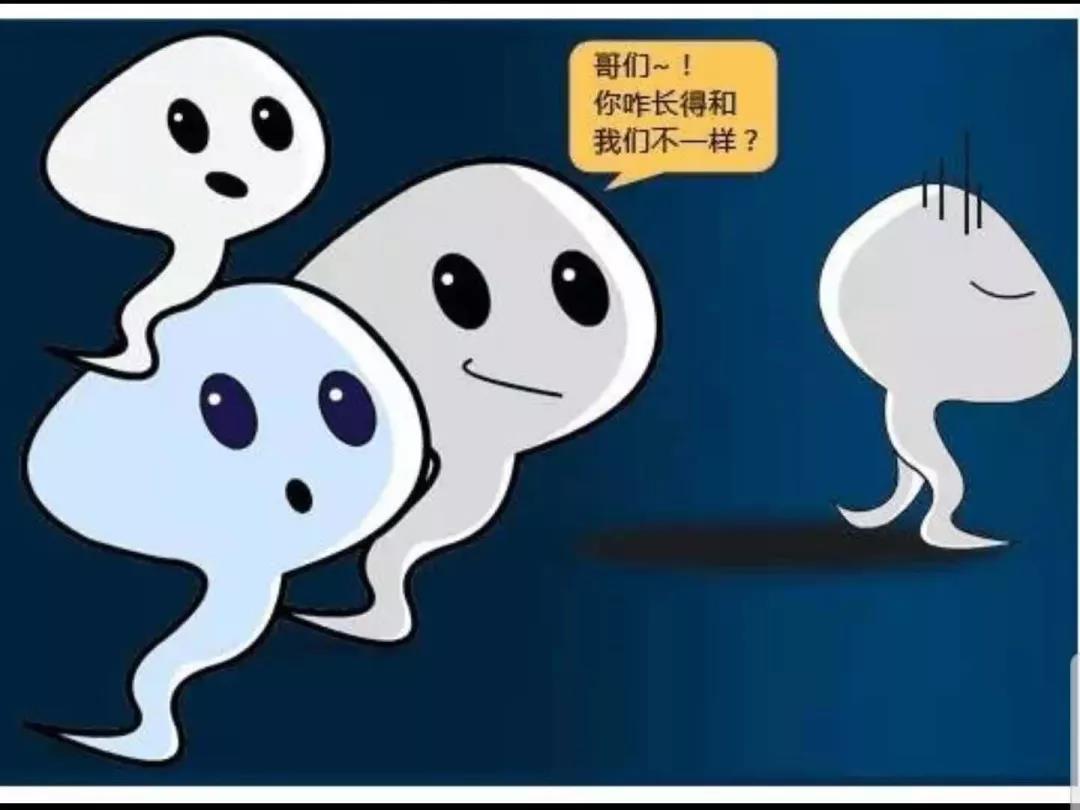 精子冷冻保存的安全性,精子冷冻科普