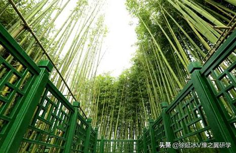 不出郑州旅游攻略,郑州五一游玩公园推荐