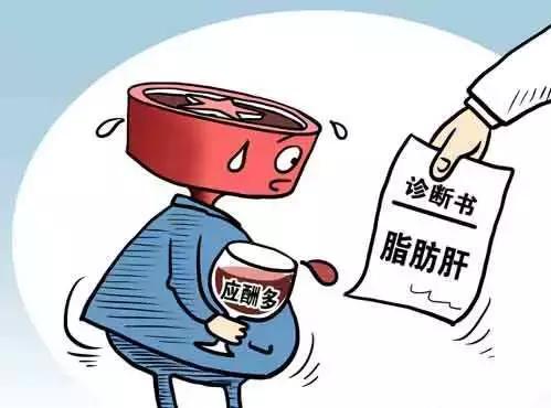 带你了解脂肪和内脏脂肪,带你全面认识脂肪