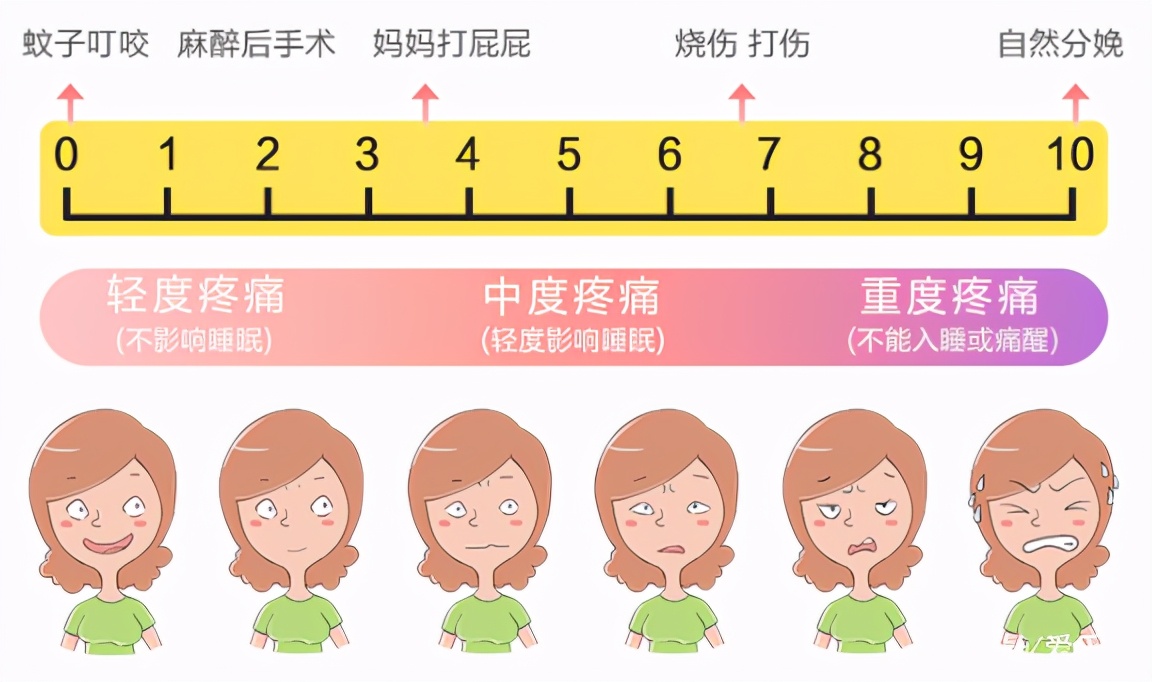 一般试管婴儿取几个卵正常,试管婴儿都是先移植最好的胚胎吗