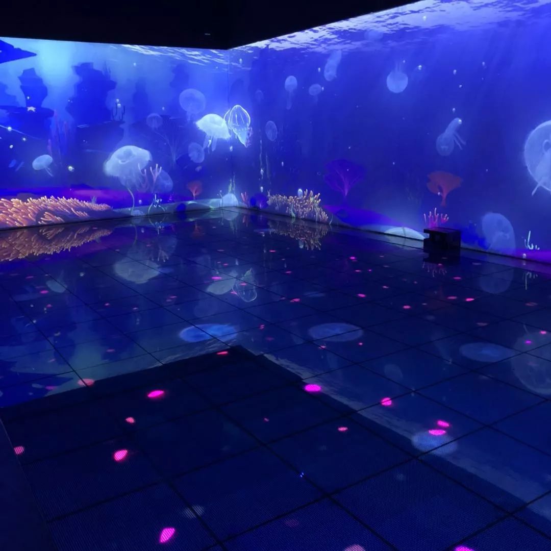 海昌海洋公园口碑,海昌海洋公园值不值