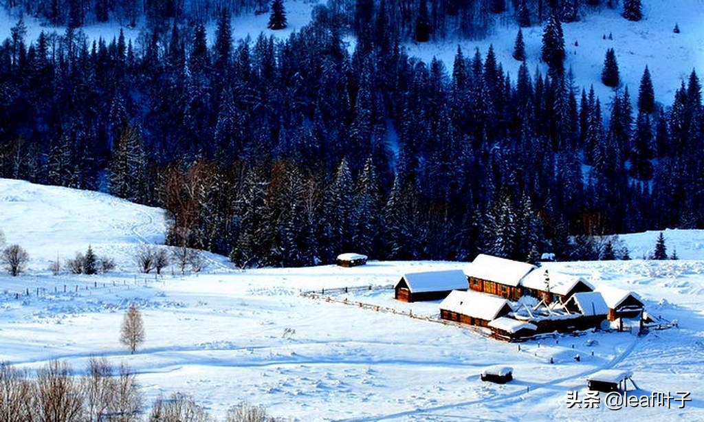 冬季*疆新**喀纳斯打卡必做list