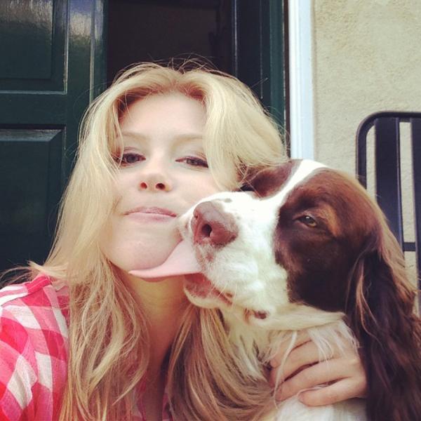 如果狗狗对你有攻击性该怎么办,狗狗表示友好的叫声和动作是什么