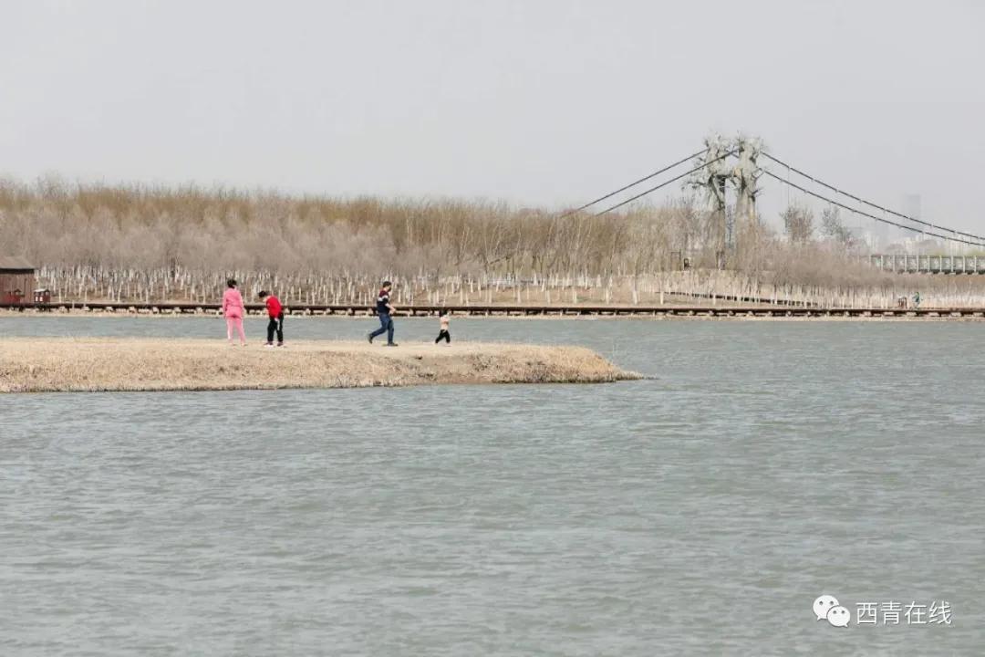 天津都有哪些公园随时免费开放,天津2022年四月开放的公园