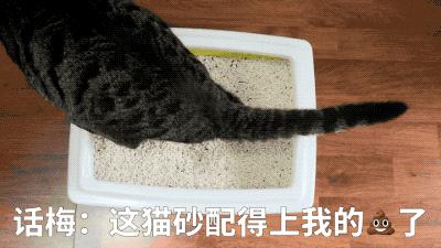 黑科技超强除臭猫砂,豆腐猫砂无粉尘真实测评