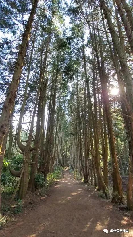 济州岛穿搭夏天旅游凉快,济州岛夏日旅行
