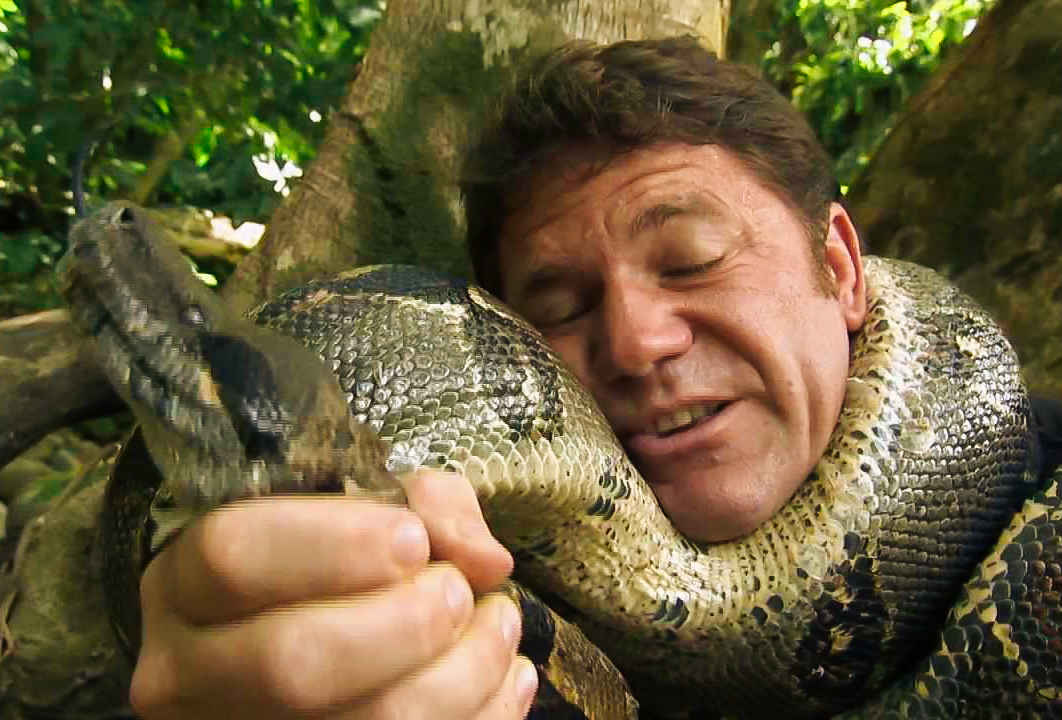 13公斤巨蟒闯入农家生吞活山羊,云南巨蟒吞了三只羊