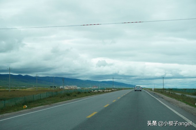 大西北环线深度旅行,大西北千沟万壑