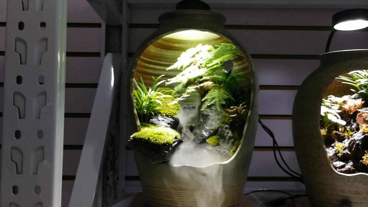 参观新开的草缸店，才开了1个月，邯郸兄弟，从玩家变老板