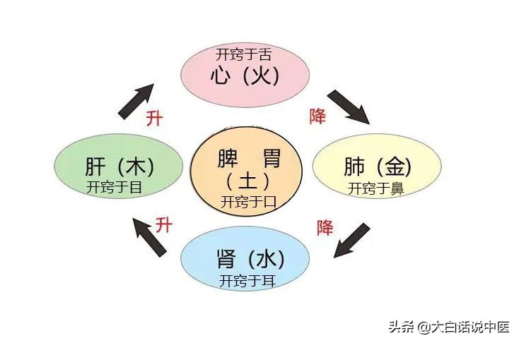 大白话说中医第二十三期｜老年痴呆不用怕，早早预防躲开它