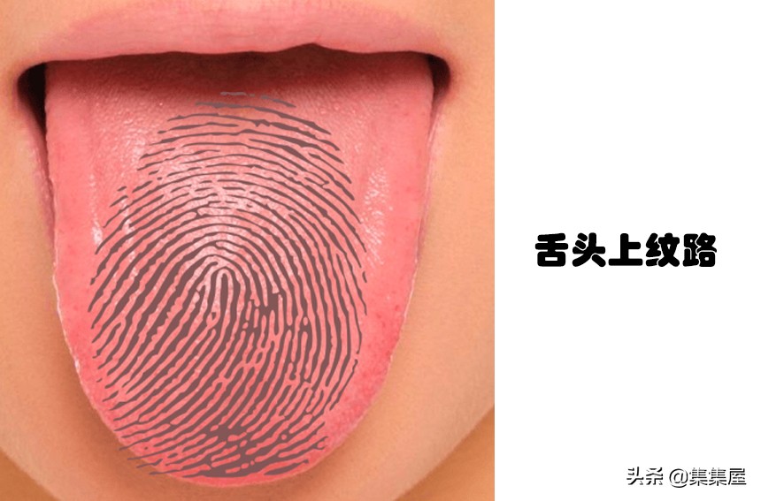 除了指纹还有什么是独一无二的,人类有独一无二的指纹吗