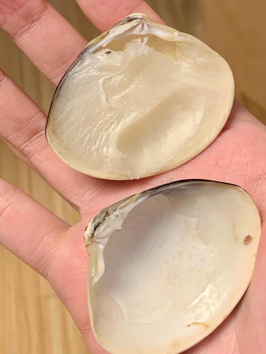 盘点前五名很丑但很好用的老国货,包装很丑却好用的国货生姜洗发水