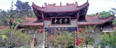 西湖畔有个古寺，井底藏千年神木，是济公施法术运来的