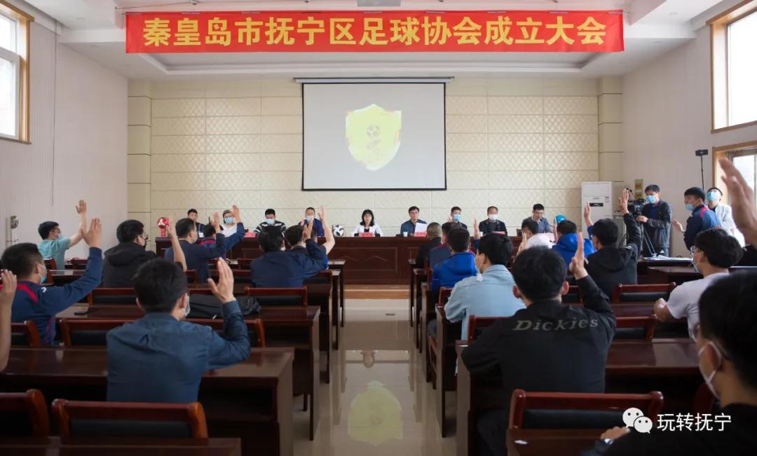 宁洱足球协会,冕宁县足球协会