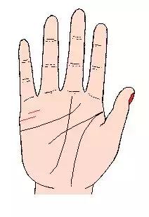 手相解密,手相掌纹分析学