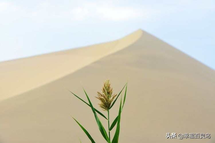 西天取经自驾游攻略,贵州出发自驾敦煌旅游攻略